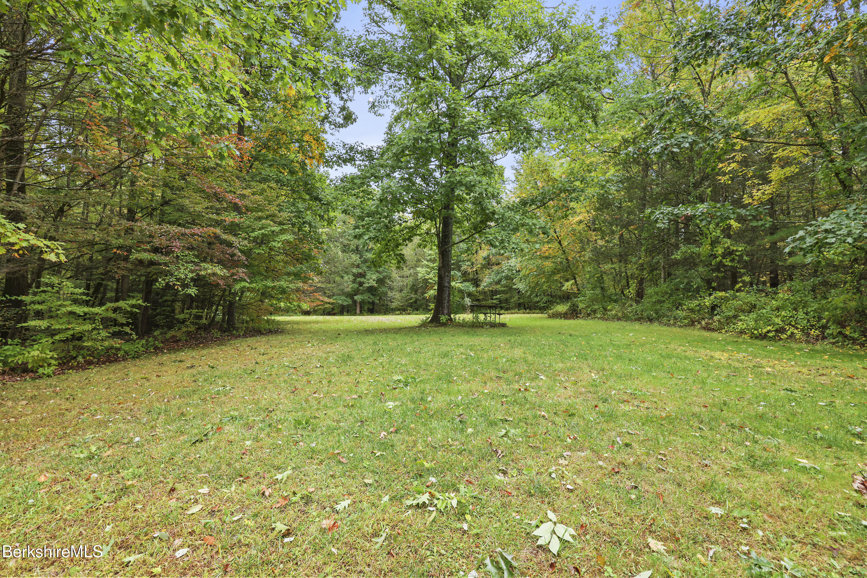 525 Rote Hill Road Sheffield, MA 01257 - Photo 53 of 62 275 Back Yard