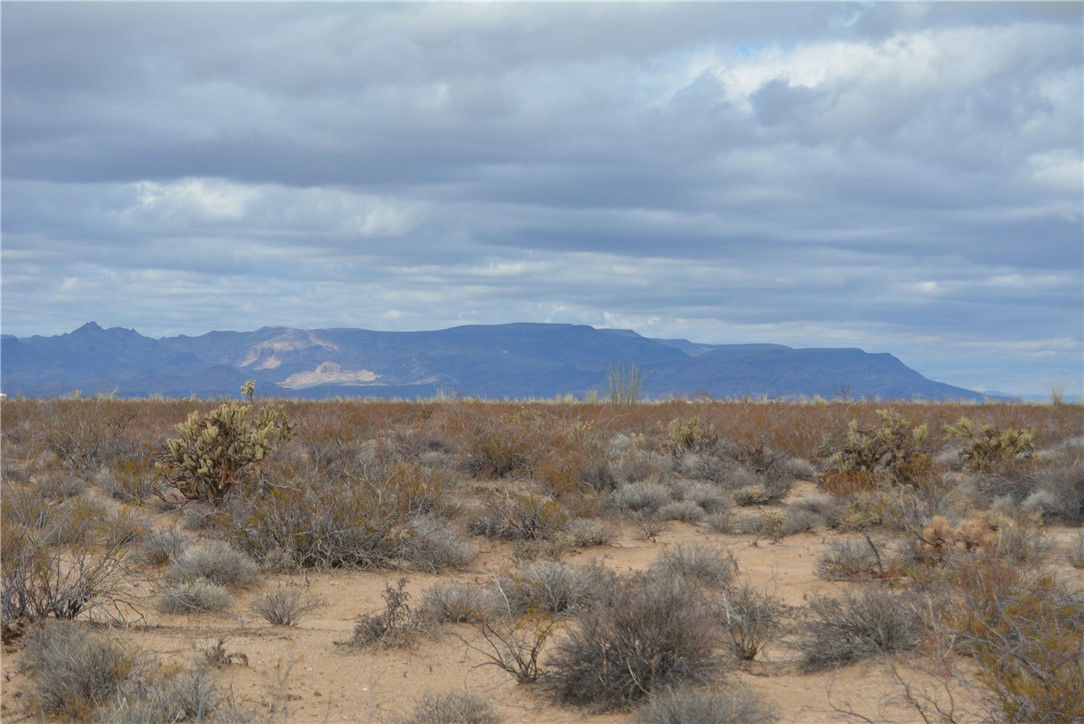 207-35-005 South Arlington Road Yucca, AZ 86438 - Photo 63 of 92