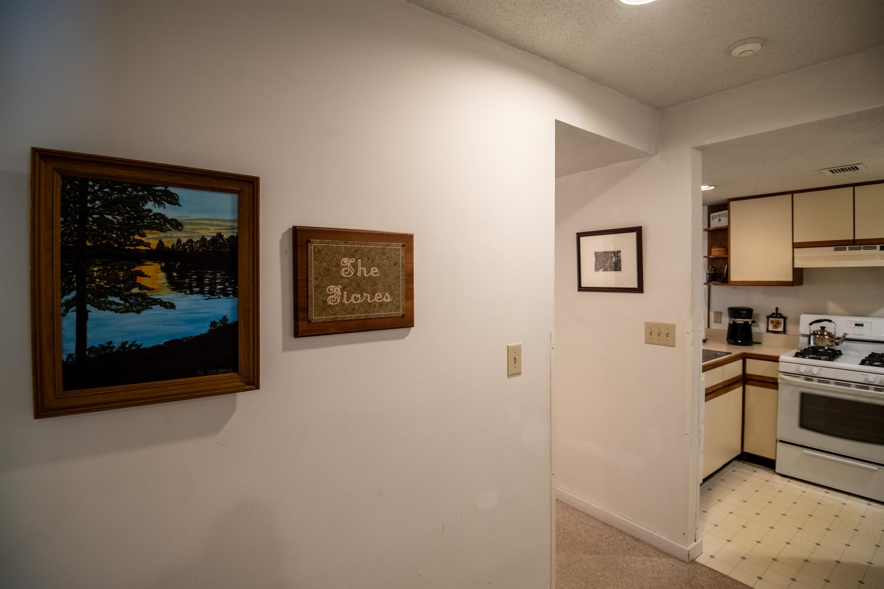 19 White Loop, Unit A203 Ludlow, VT 05149 - Photo 24 of 29