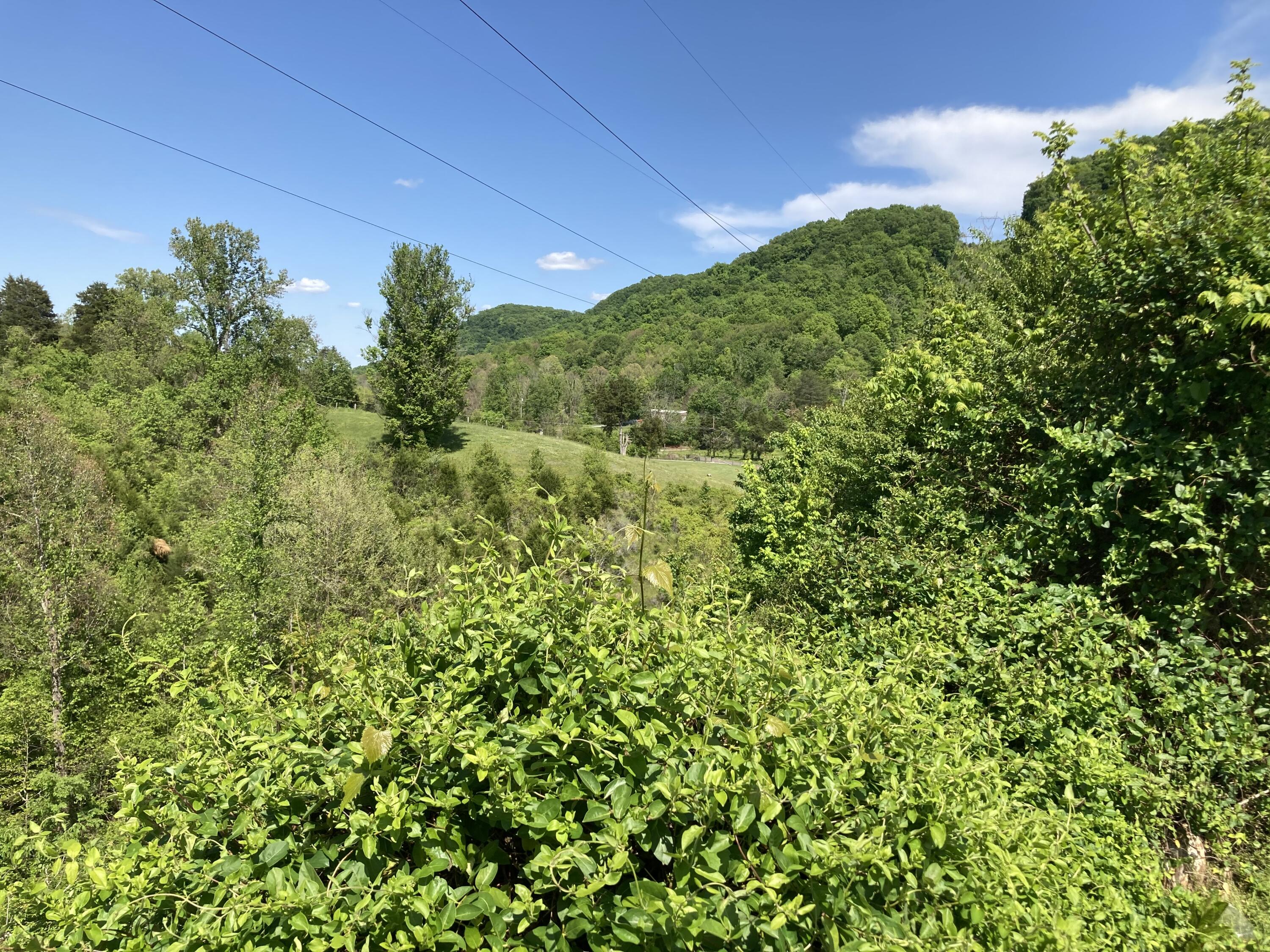 Jim Dyke Road Loudon, TN 37774 - Photo 1 of 1 006