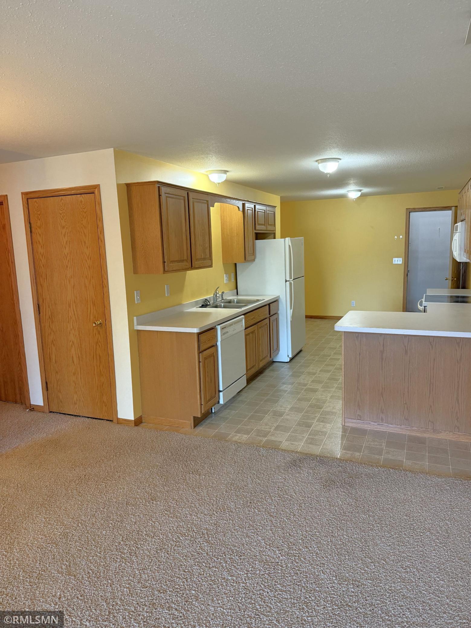 832 Laurel Avenue, Unit LOWR Hudson, WI 54016 - Photo 11 of 17