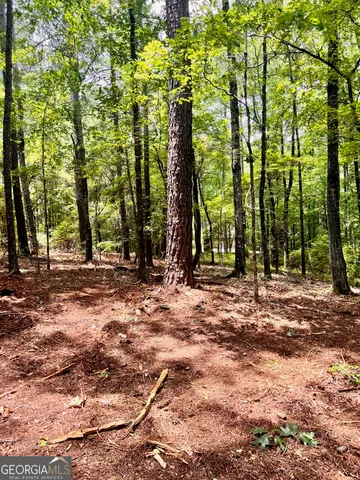 a view of outdoor space with lots of trees