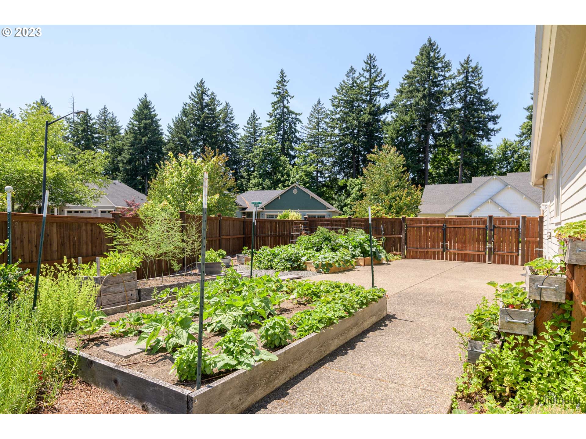 6099 Graystone Loop Springfield, OR 97478 - Photo 46 of 48 a view of backyard with plants and outdoor seating