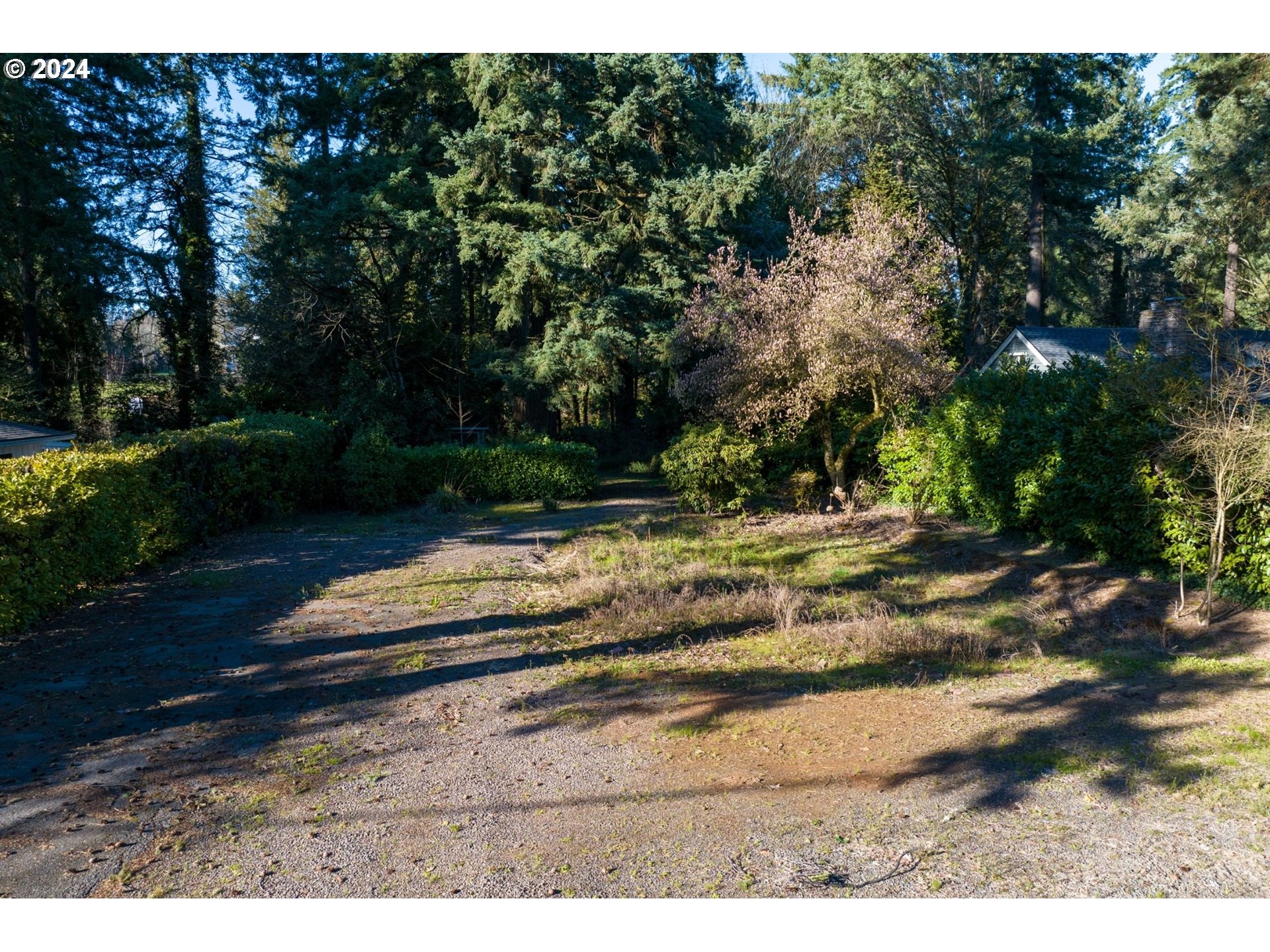 871 Country Club Road, Unit 1 Lake Oswego, OR 97034 - Photo 5 of 7 Gallery Image 5