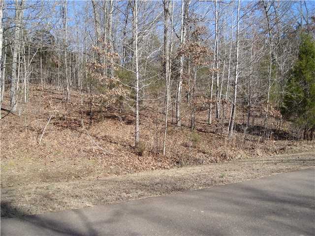 Lot 957 Grand Valley Drive Saulsbury, TN 38067 - Photo 2 of 6