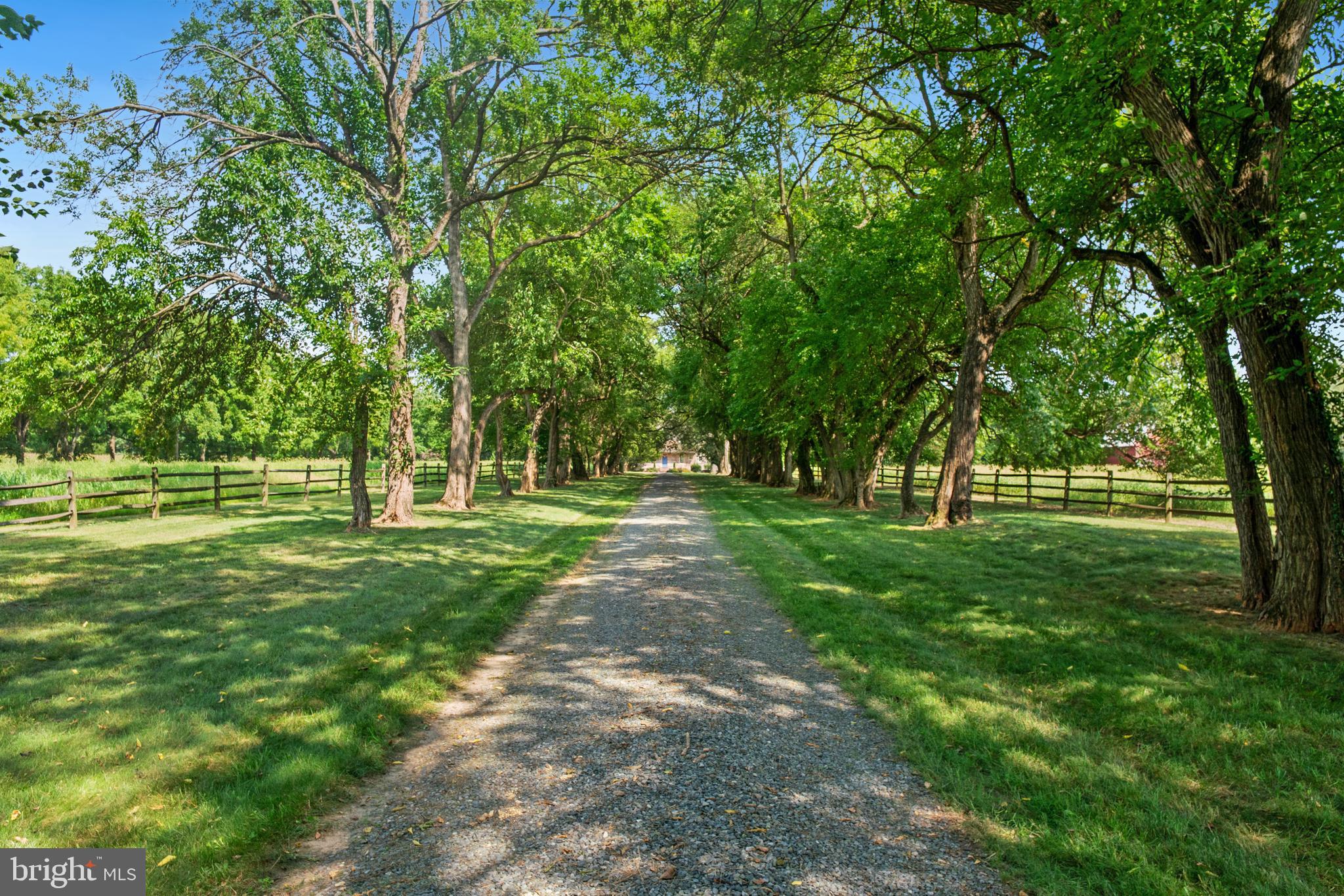 13925 Gregg Neck Road Galena, MD 21635 - Photo 4 of 36 Gallery Image 4