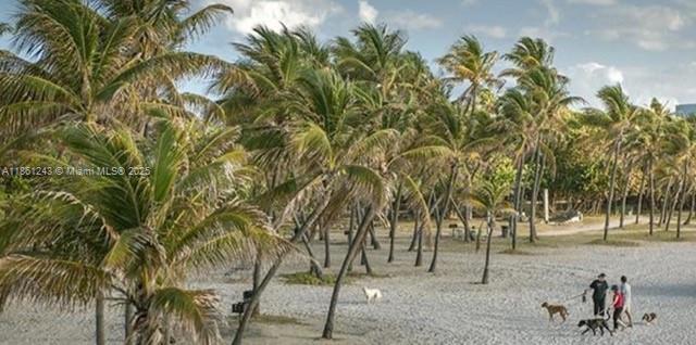 233 80th Street, Unit 1 Miami Beach, FL 33141 - Photo 19 of 24 a group of people standing in a park