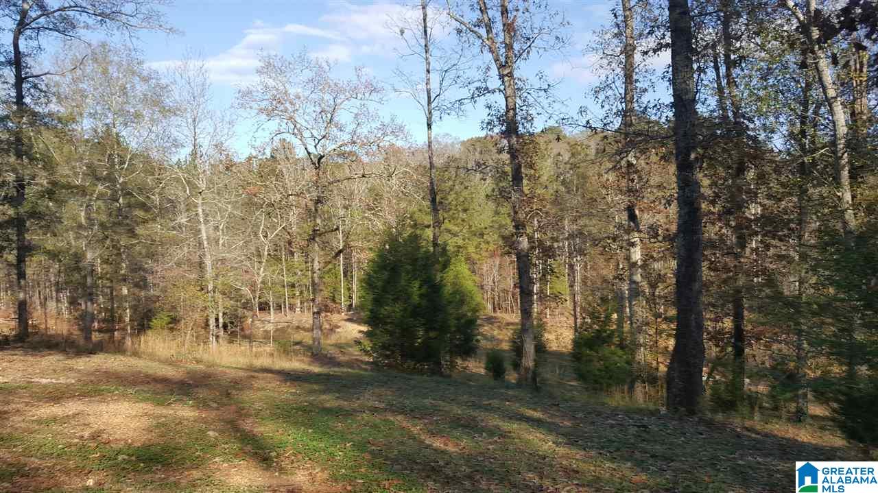 0 Haven Circle, Unit 39 Riverside, AL 35135 - Photo 30 of 32
