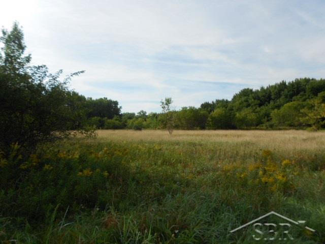 V/l Midland Road Freeland, MI 48623 - Photo 5 of 10