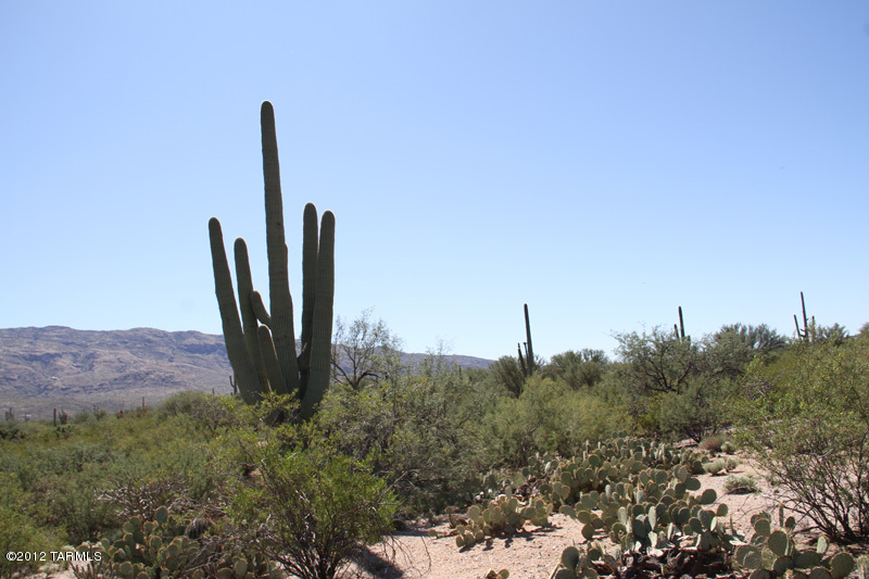Prince Road, Unit A Tucson, AZ 85749 - Photo 1 of 16