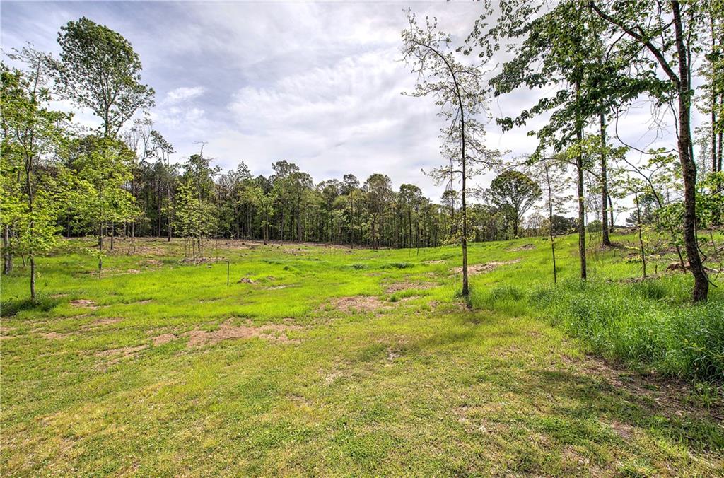452 Terry White Road Aragon, GA 30104 - Photo 50 of 72