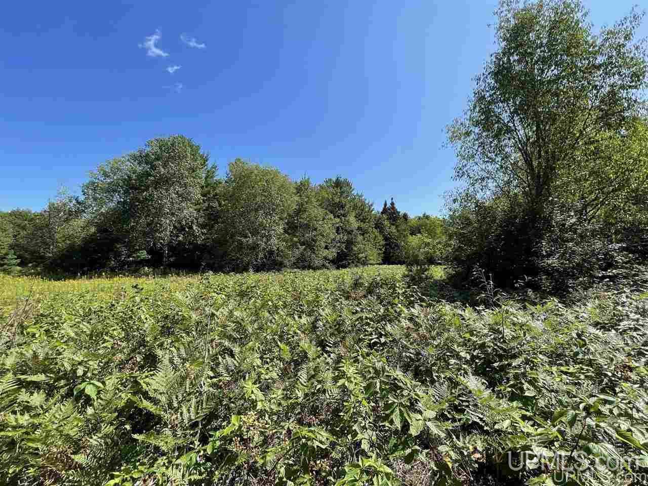 220 W Ford Lake Road Germfask, MI 49836 - Photo 4 of 26