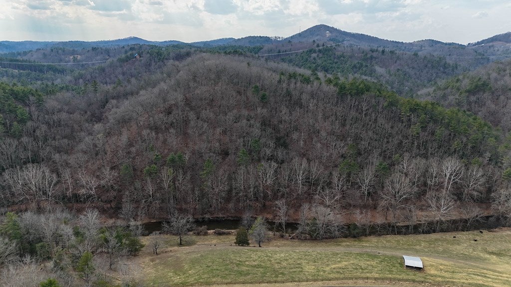906 Scratch Gravel Road Max Meadows, VA 24360 - Photo 15 of 27 Gallery Image 15