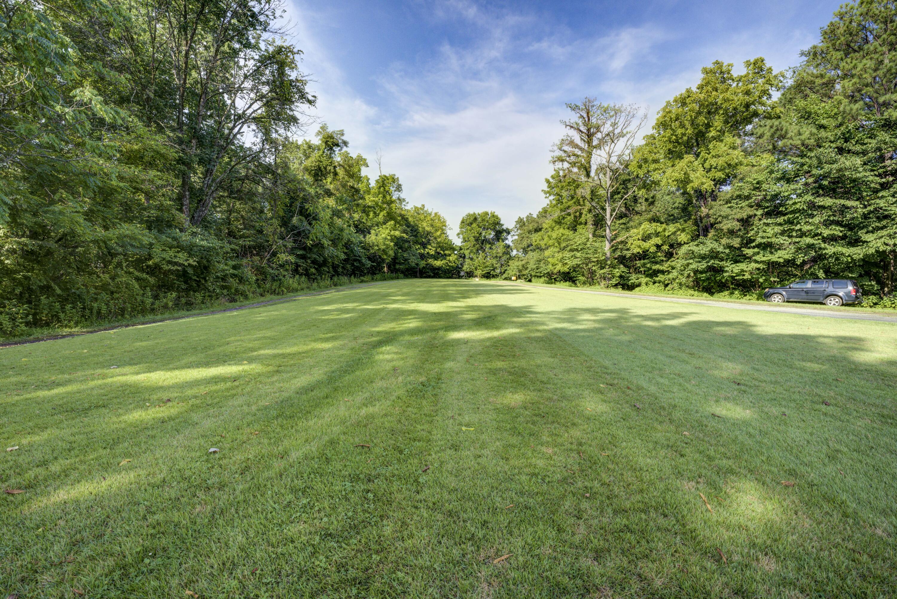 170 McCarty Hollow Road Telford, TN 37690 - Photo 19 of 47 McCarty-Land-28