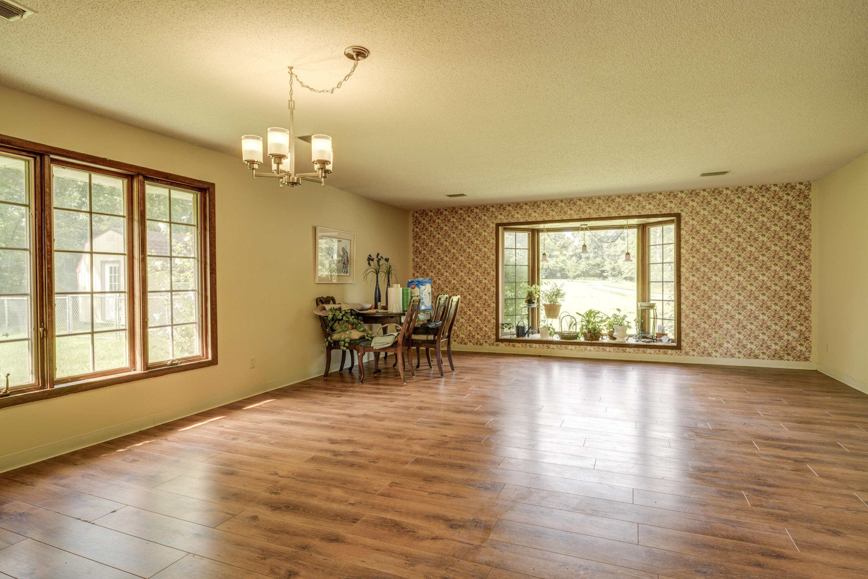170 McCarty Hollow Road Telford, TN 37690 - Photo 27 of 47 McCarty-Land-3