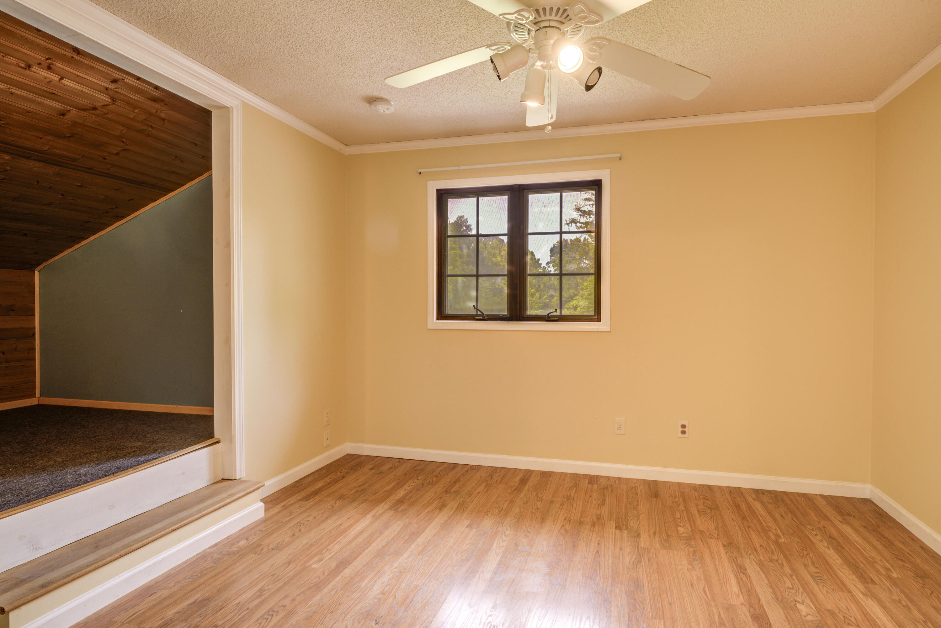 170 McCarty Hollow Road Telford, TN 37690 - Photo 35 of 47 McCarty-Land-13