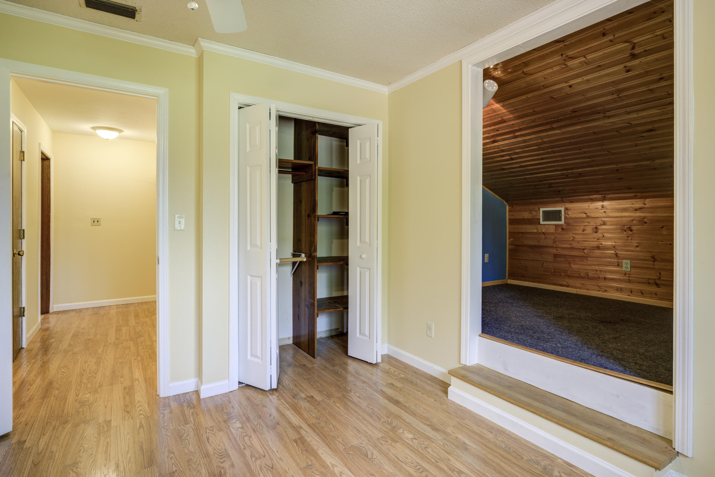 170 McCarty Hollow Road Telford, TN 37690 - Photo 36 of 47 McCarty-Land-14