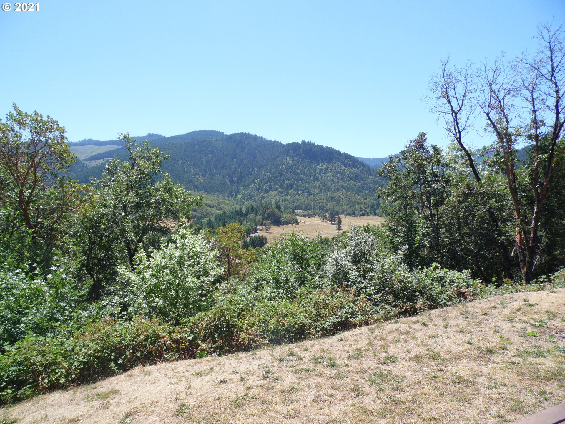 1003 Evergreen Ridge Road Riddle, OR 97469 - Photo 14 of 24 a view of a house with a yard