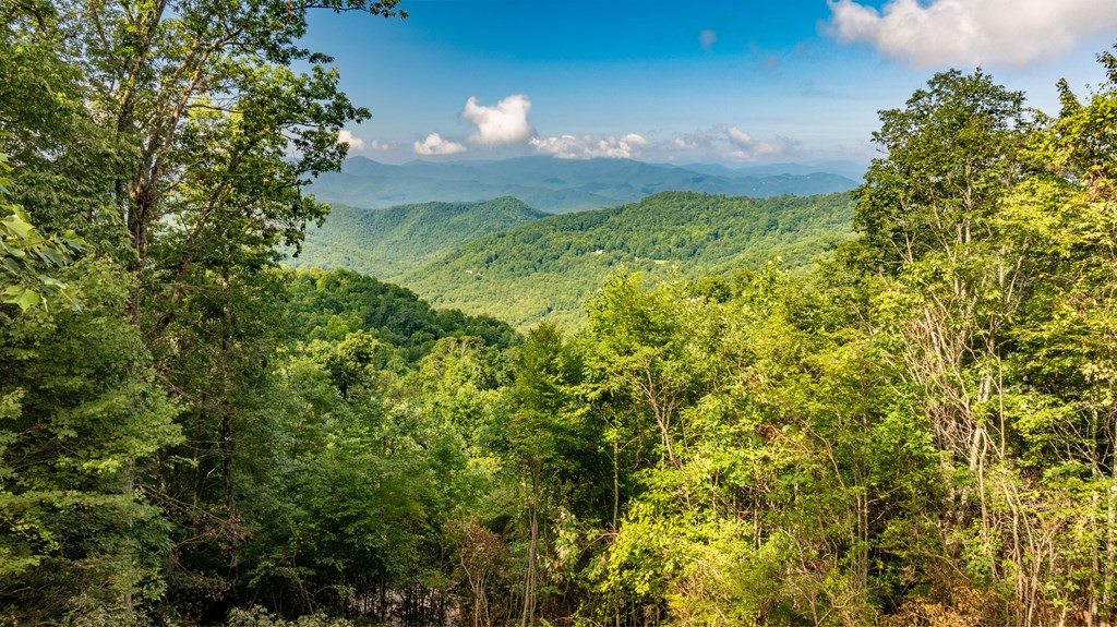 0 East Alarka Road Bryson City, NC 28713 - Photo 18 of 28