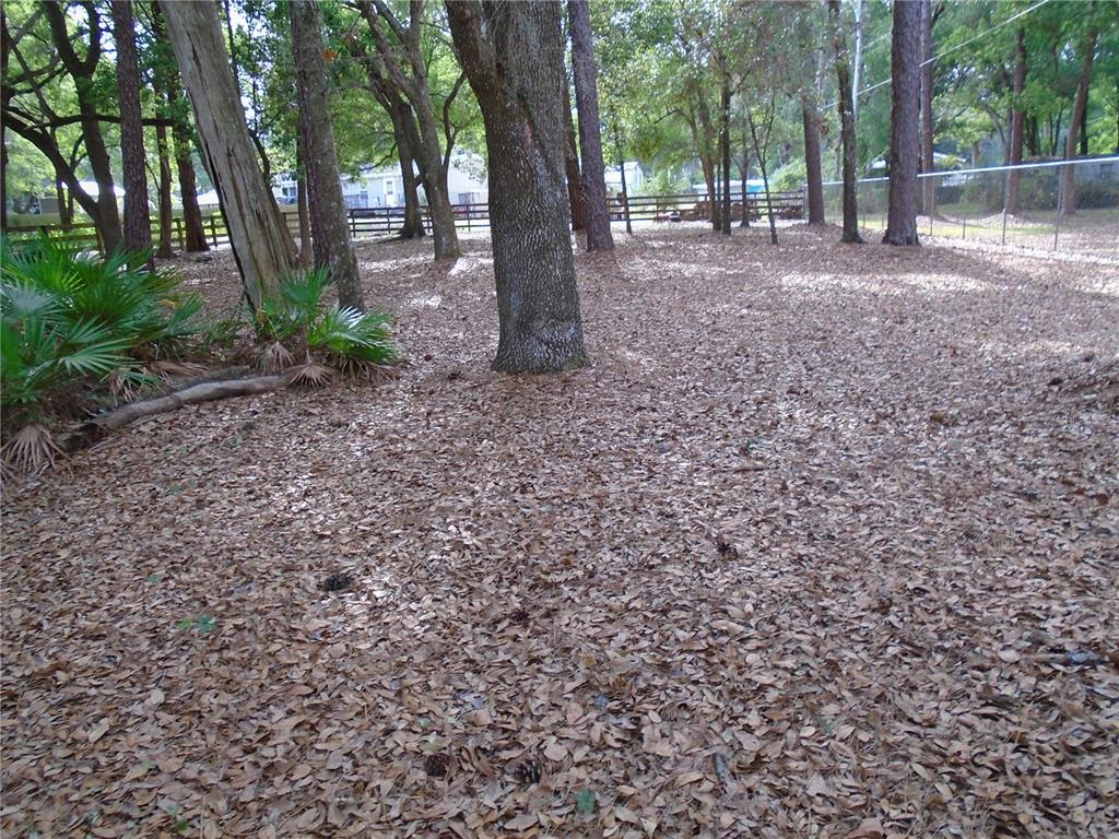 Chase Road Lakeland, FL 33810 - Photo 1 of 1