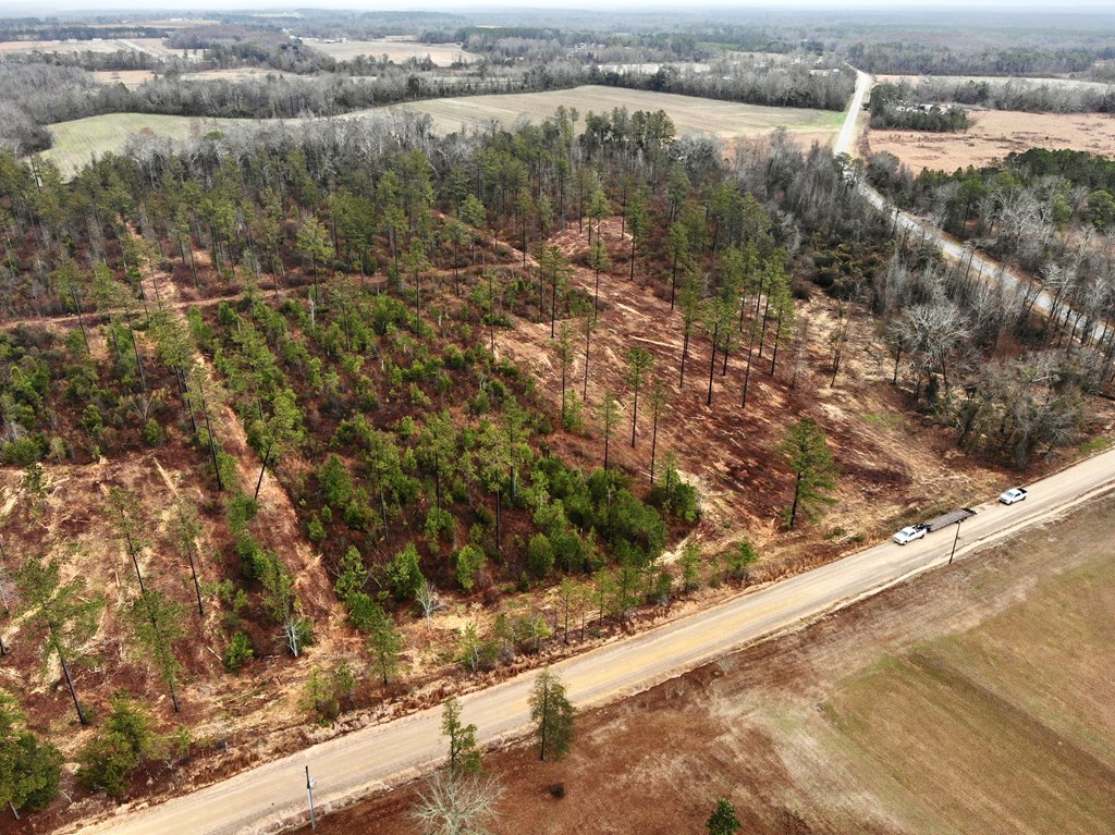 22-acres Donzell Road Cottonwood, AL 36320 - Photo 13 of 15