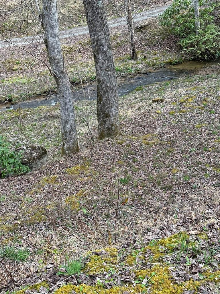 140 Old Whitener Road Murphy, NC 28906 - Photo 46 of 60