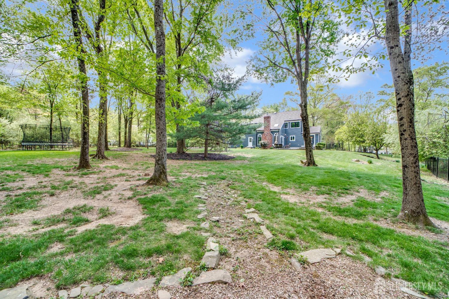 325 Spring Hill Road Skillman, NJ 08558 - Photo 39 of 46 a view of a trees with a backyard