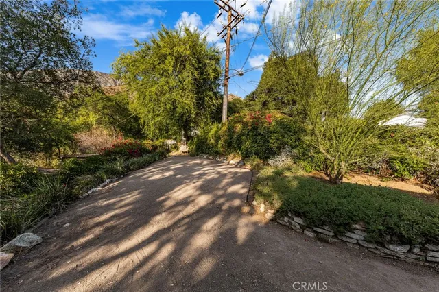 a view of a yard with plants and trees
