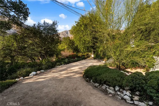 a view of a street with a tree
