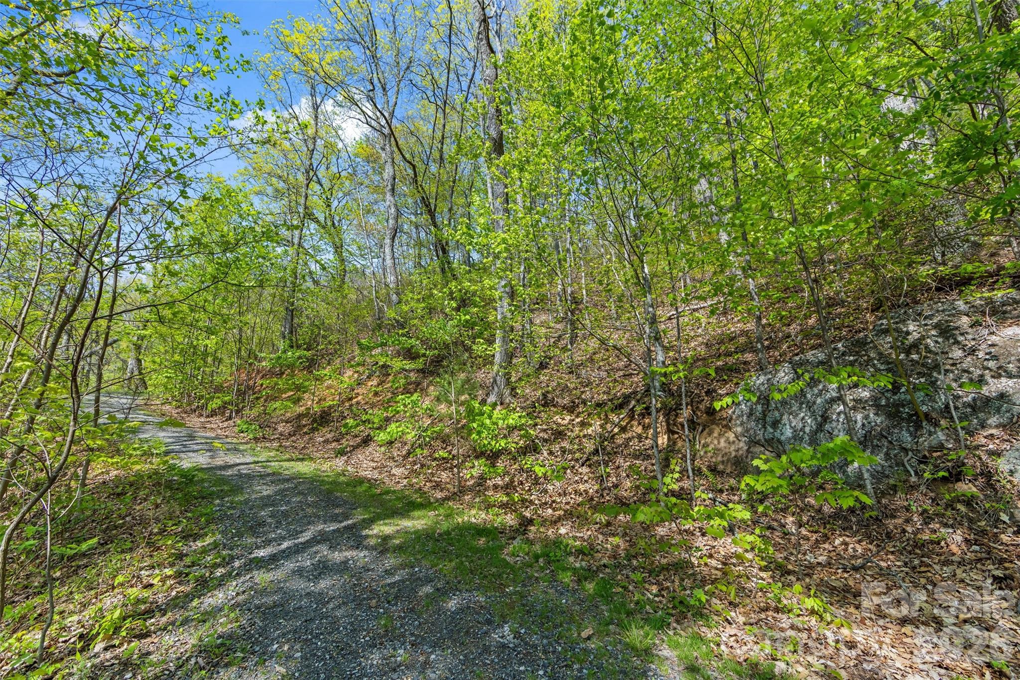 21 Reillys Bluff Road, Unit 1 Barnardsville, NC 28709 - Photo 1 of 15 a view of a lush green forest