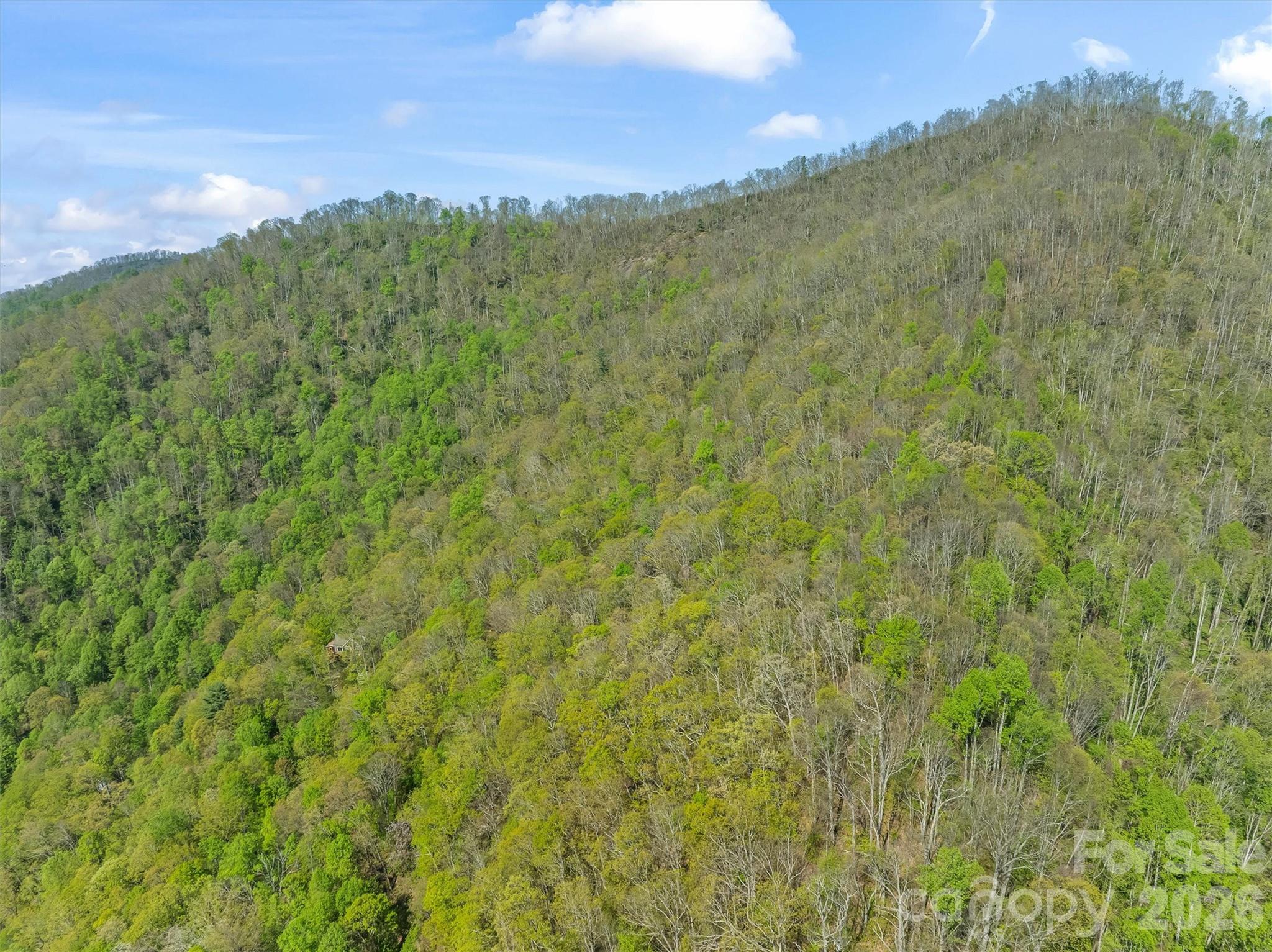 21 Reillys Bluff Road, Unit 1 Barnardsville, NC 28709 - Photo 11 of 15 a view of a lush green space with sea