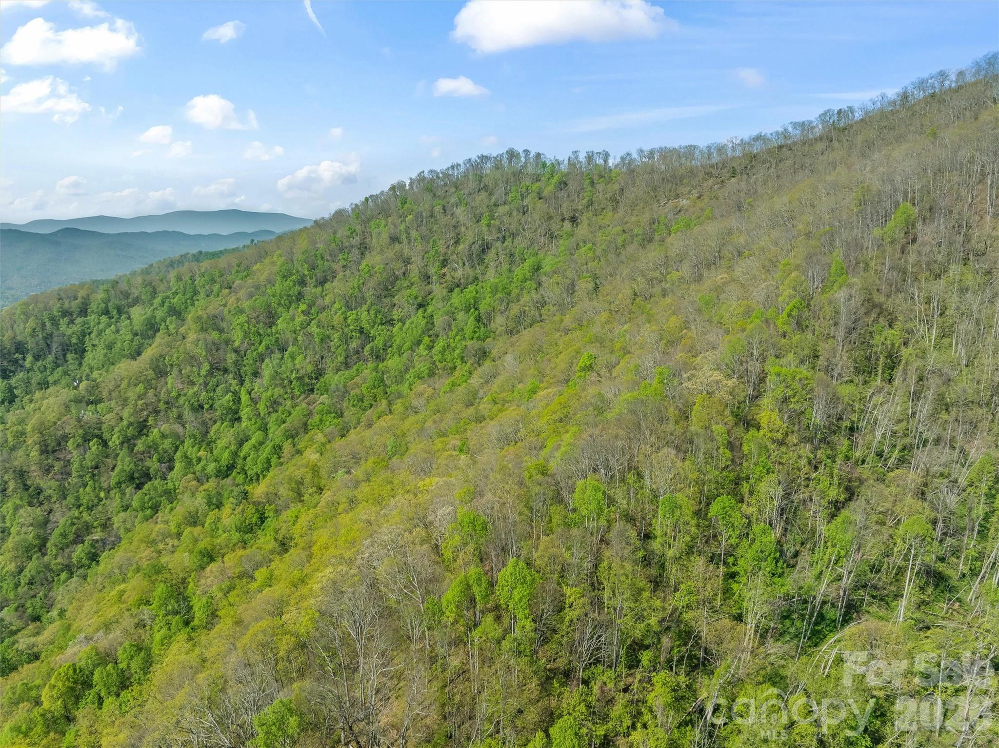 21 Reillys Bluff Road, Unit 1 Barnardsville, NC 28709 - Photo 12 of 15 a view of a lush green space with sea