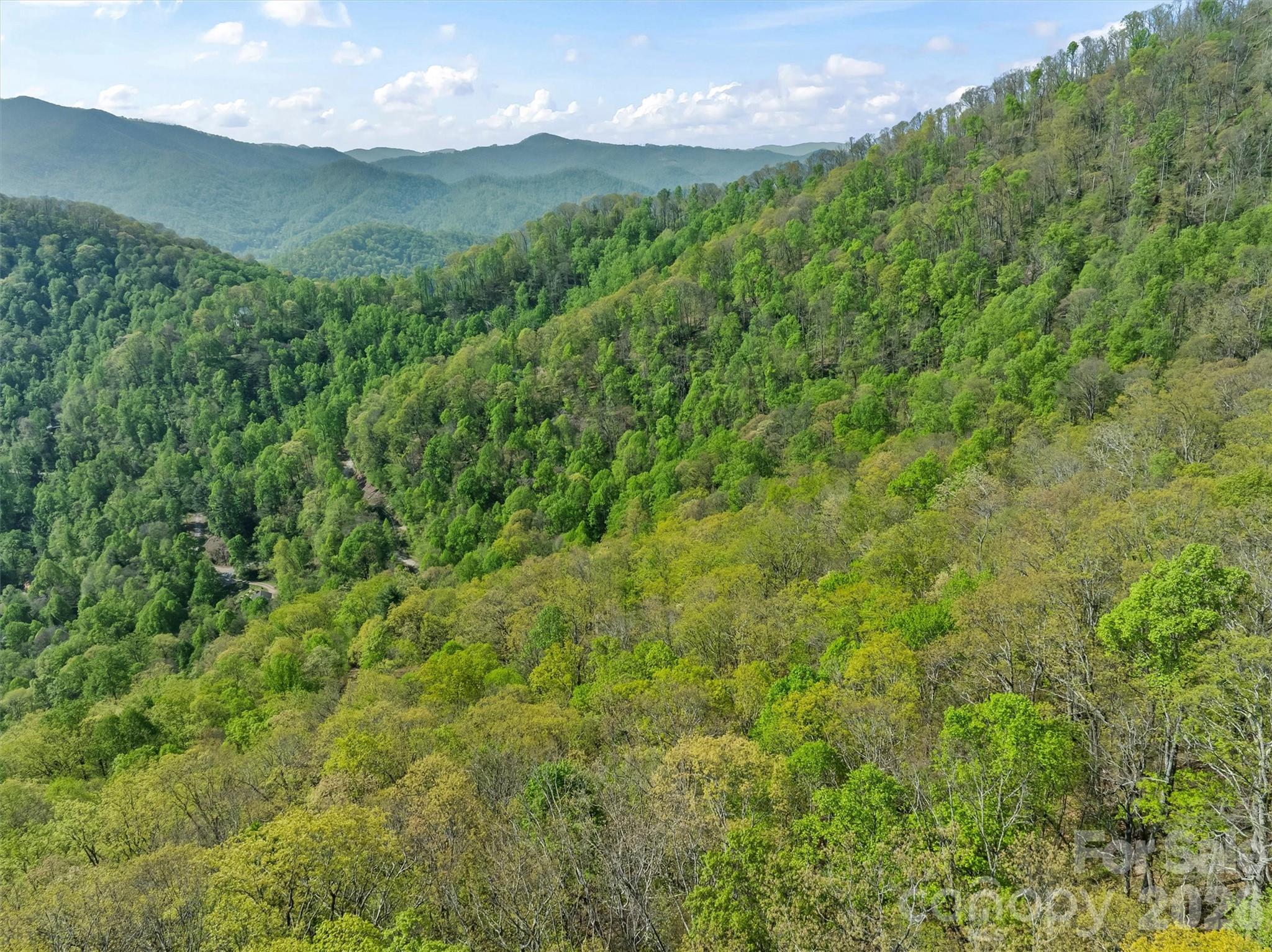 21 Reillys Bluff Road, Unit 1 Barnardsville, NC 28709 - Photo 13 of 15 a view of a big yard with lots of green space and mountain view