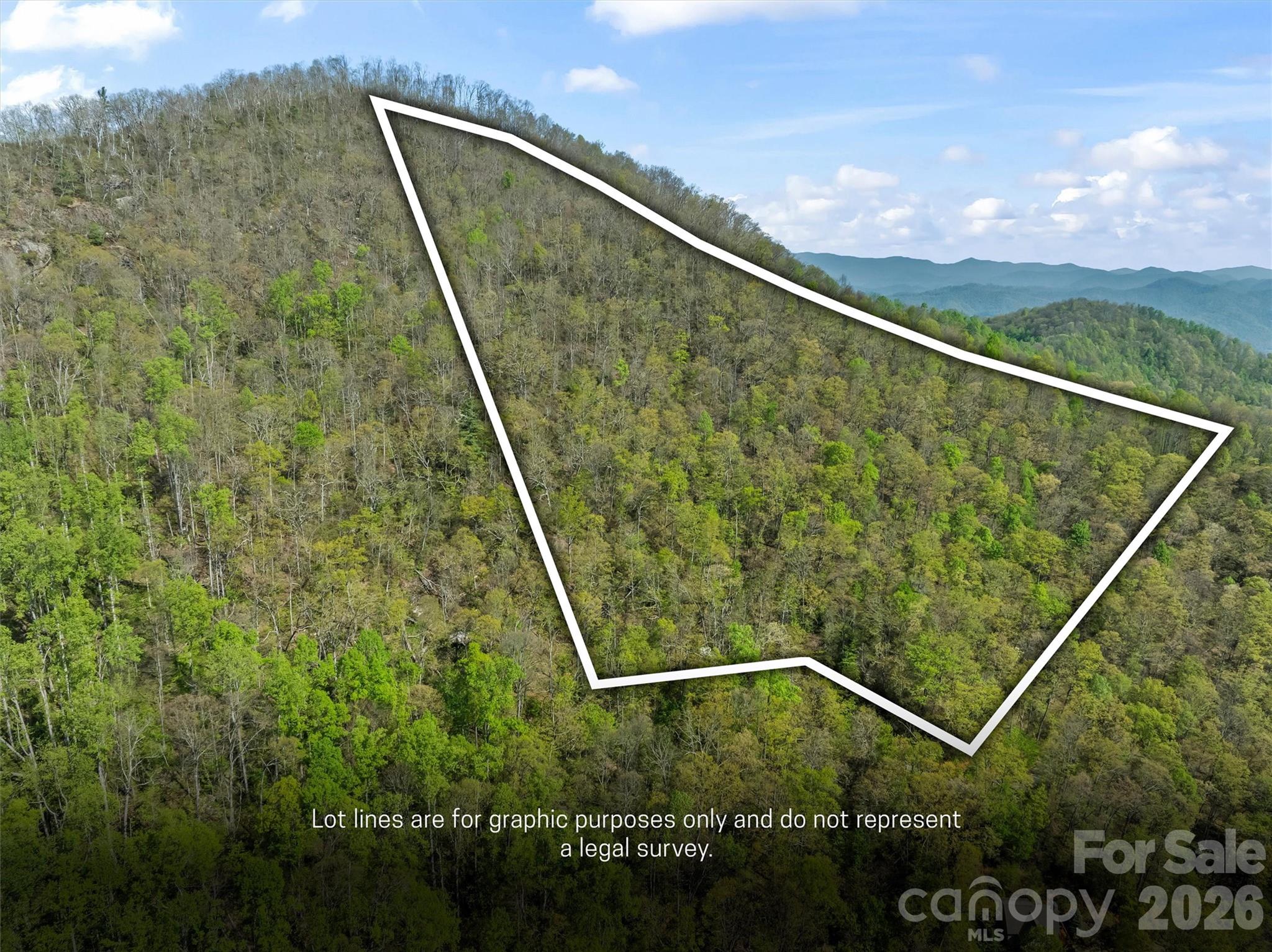 21 Reillys Bluff Road, Unit 1 Barnardsville, NC 28709 - Photo 2 of 15 a view of a tennis court