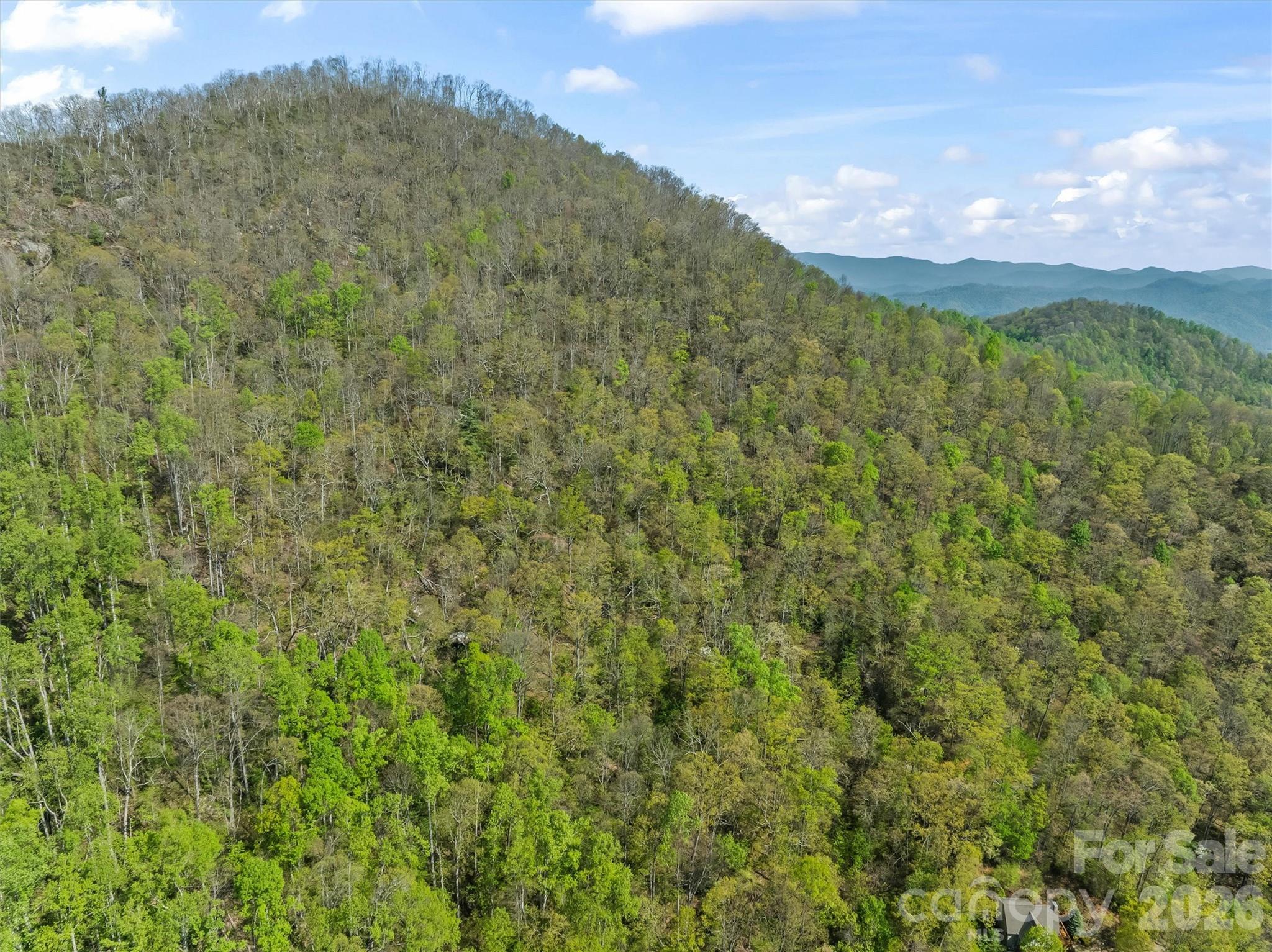 21 Reillys Bluff Road, Unit 1 Barnardsville, NC 28709 - Photo 3 of 15 a view of a lush green forest with a mountain