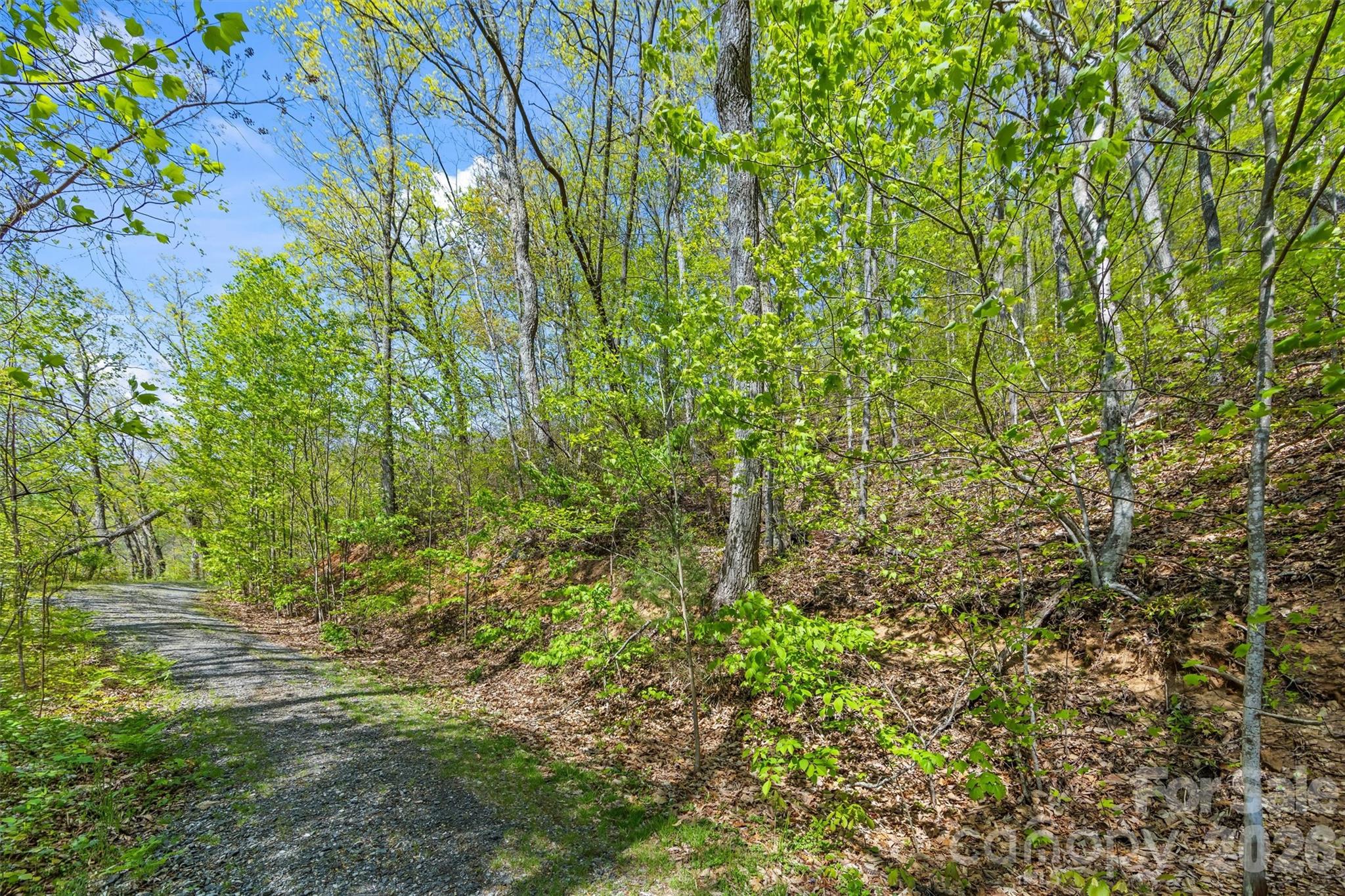 21 Reillys Bluff Road, Unit 1 Barnardsville, NC 28709 - Photo 4 of 15 a view of a garden
