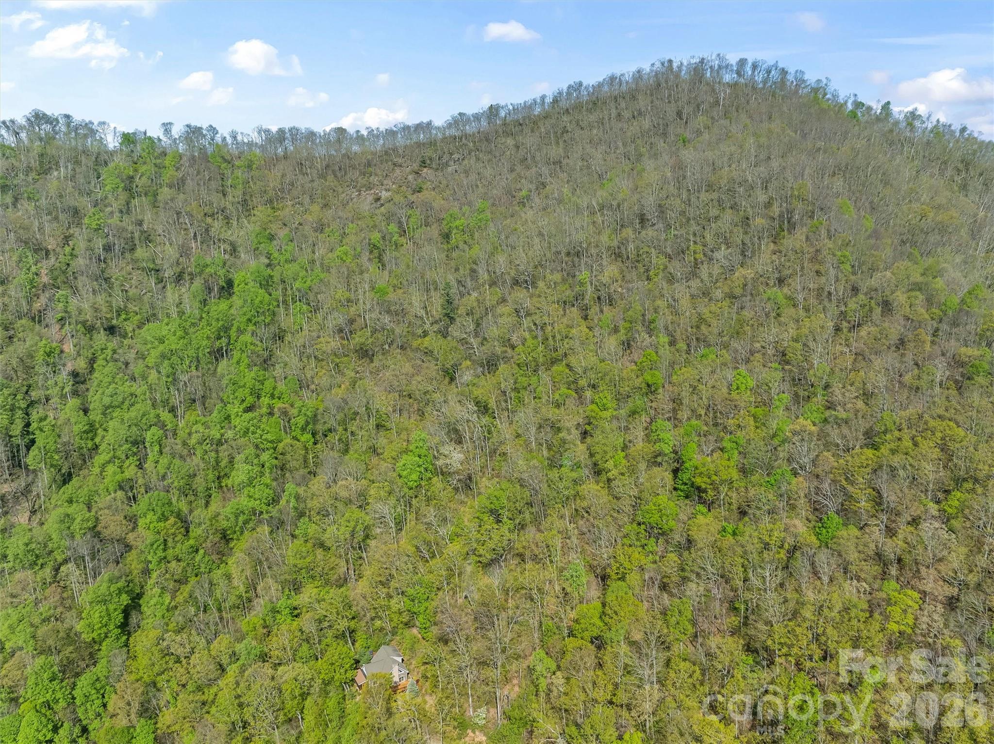 21 Reillys Bluff Road, Unit 1 Barnardsville, NC 28709 - Photo 7 of 15 a view of a field with a tree in the background