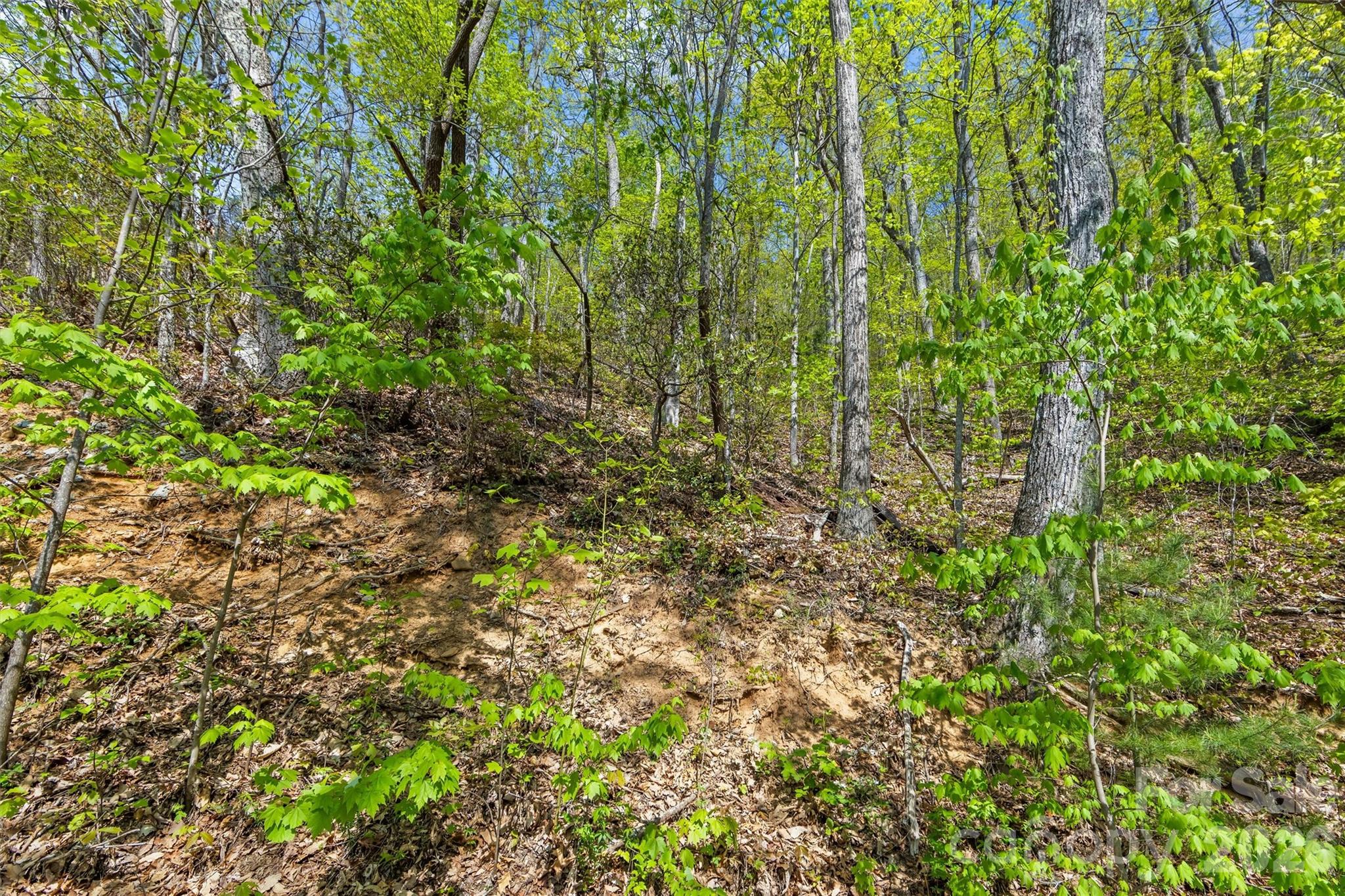 21 Reillys Bluff Road, Unit 1 Barnardsville, NC 28709 - Photo 8 of 15