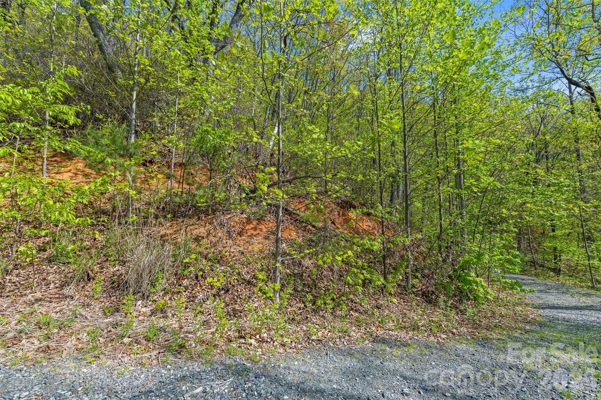 21 Reillys Bluff Road, Unit 1 Barnardsville, NC 28709 - Photo 9 of 15 a view of a yard with a tree