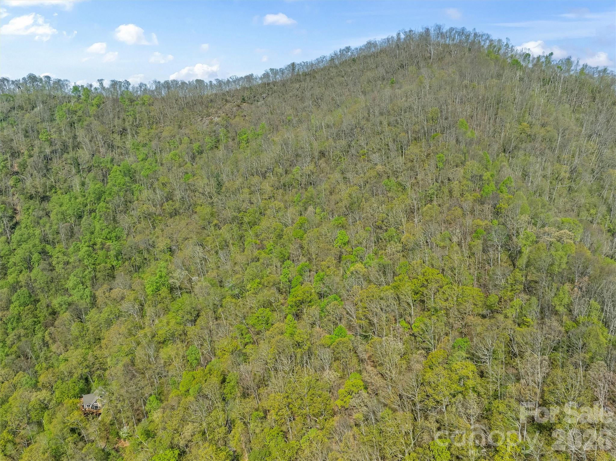 21 Reillys Bluff Road, Unit 1 Barnardsville, NC 28709 - Photo 10 of 15 a view of a lush green field