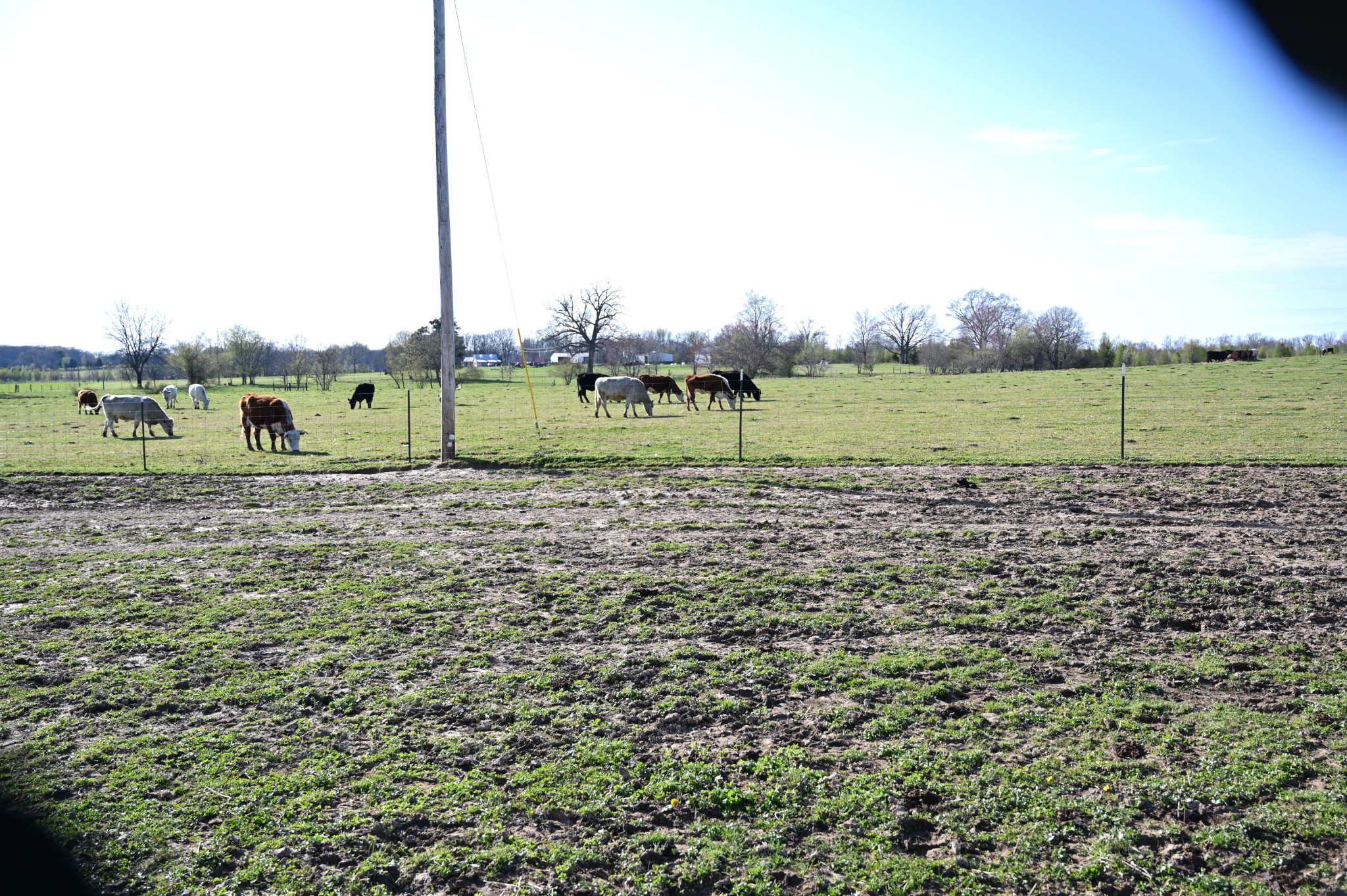 10996 Shelbyville Road Morrison, TN 37357 - Photo 12 of 26 a view of a park with large trees