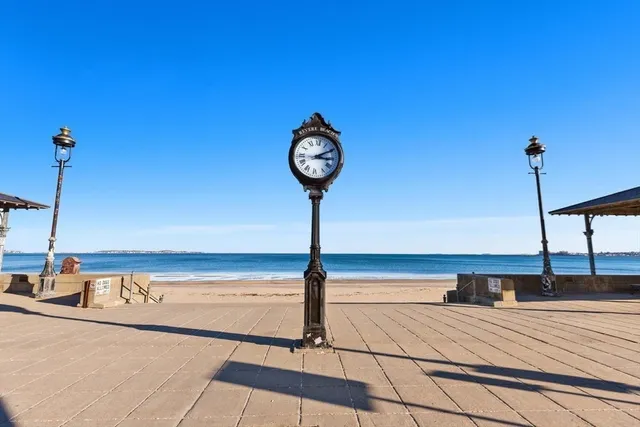 a view of a backyard with plants