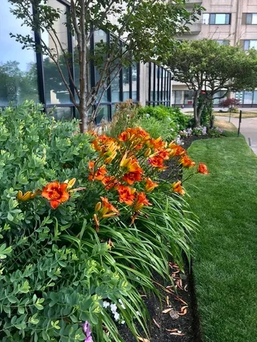 $539,000 | 376 Ocean Avenue, Unit 706, Revere, MA 02151