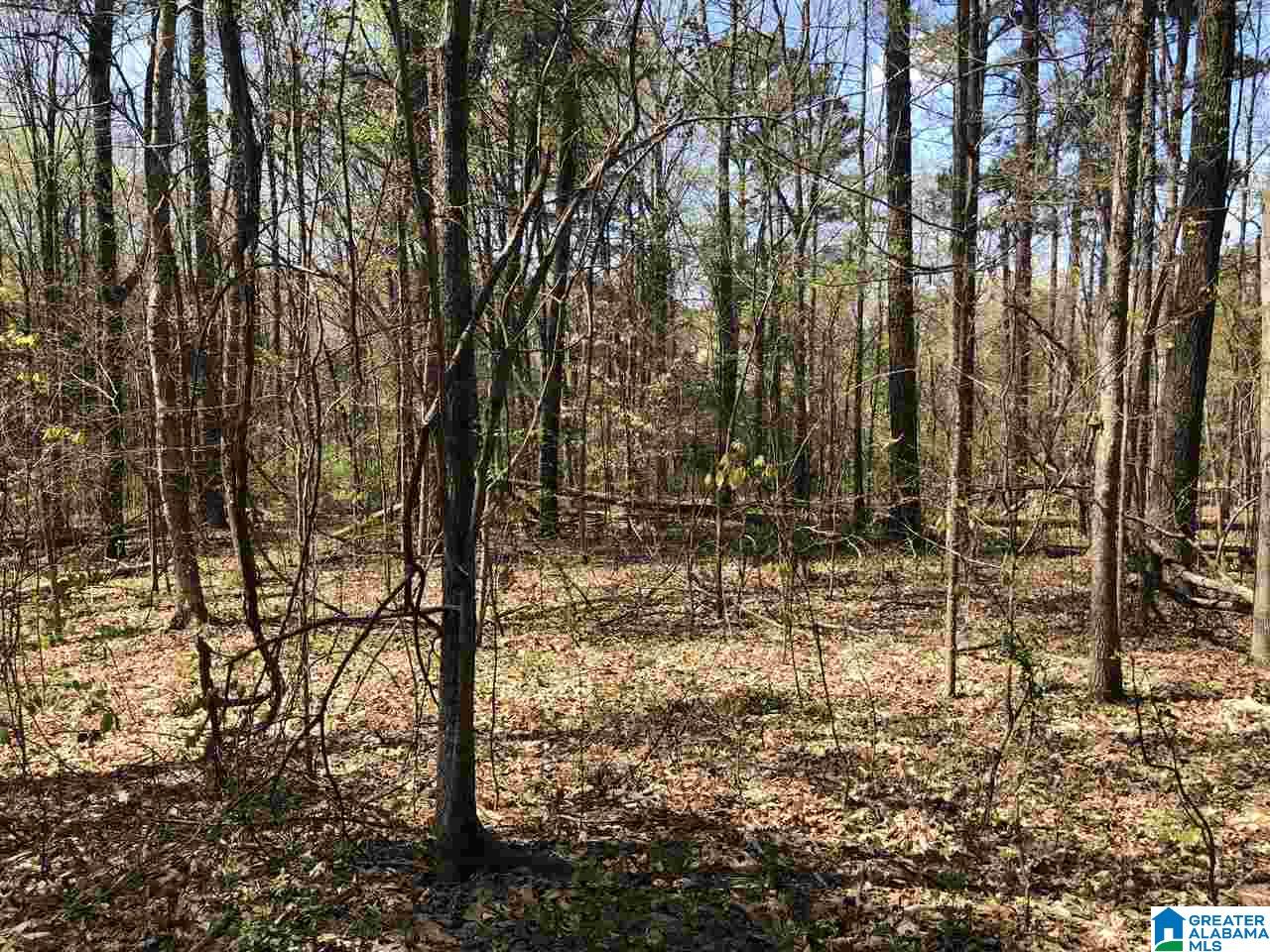 3892 Parkwood Road, Unit 6 ACRES Birmingham, AL 35244 - Photo 3 of 6