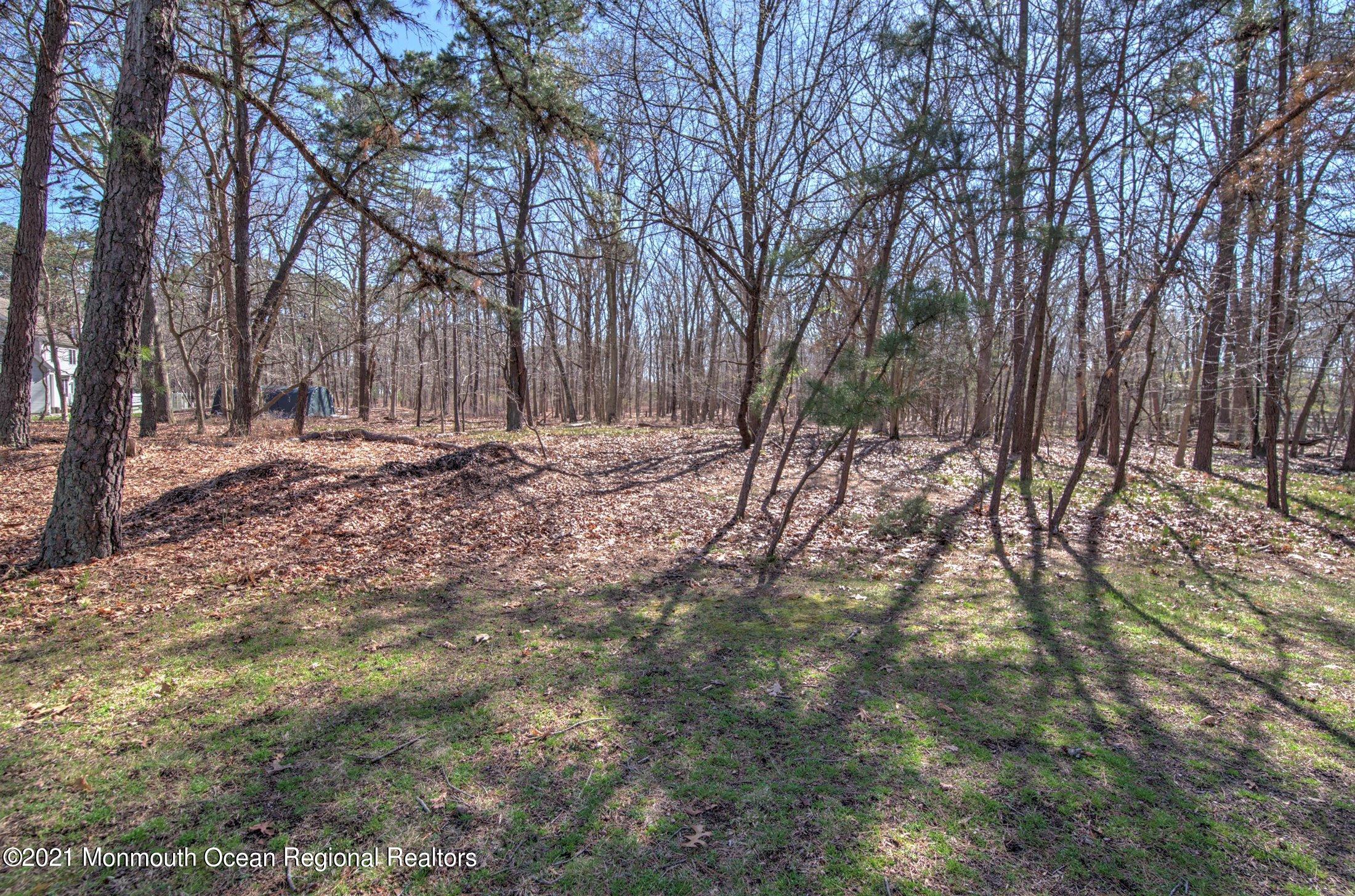 81 Ely Harmony Road Freehold, NJ 07728 - Photo 35 of 38 BACK YARD
