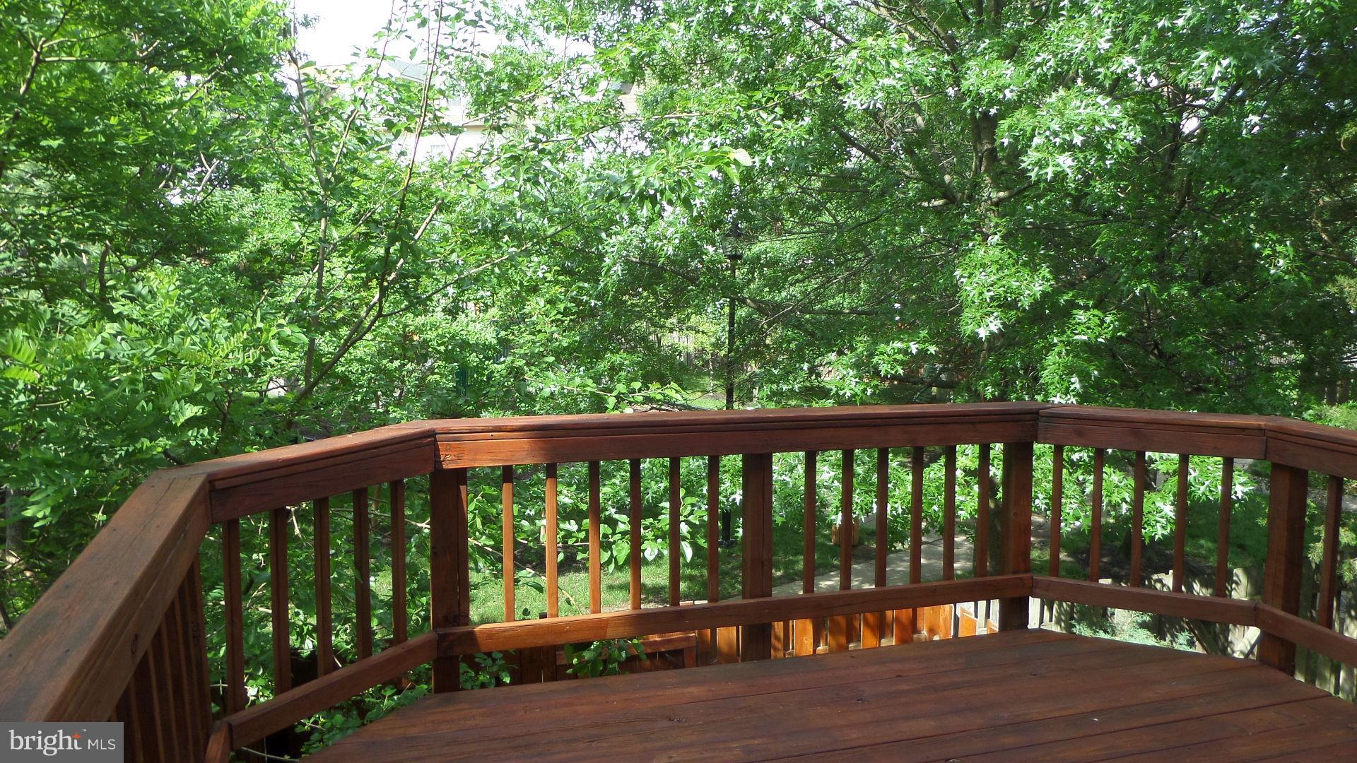 3004 Kings Village Road Alexandria, VA 22306 - Photo 7 of 22 Deck off of kitchen overlooks green space