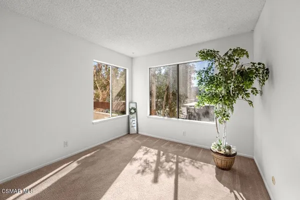a view of a room with windows and flower pot
