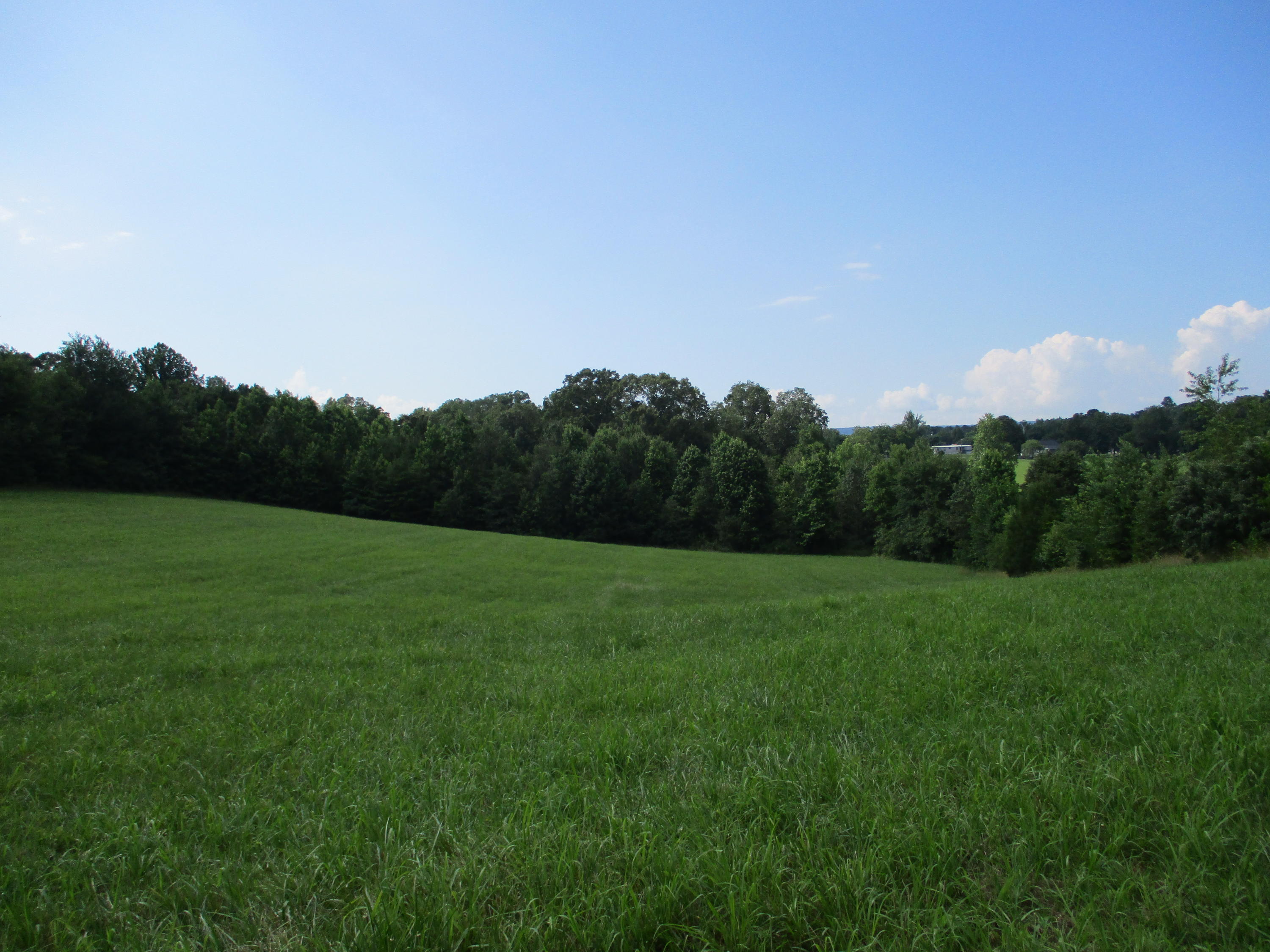 0 Ruth Road Dayton, TN 37321 - Photo 11 of 20 IMG_0285