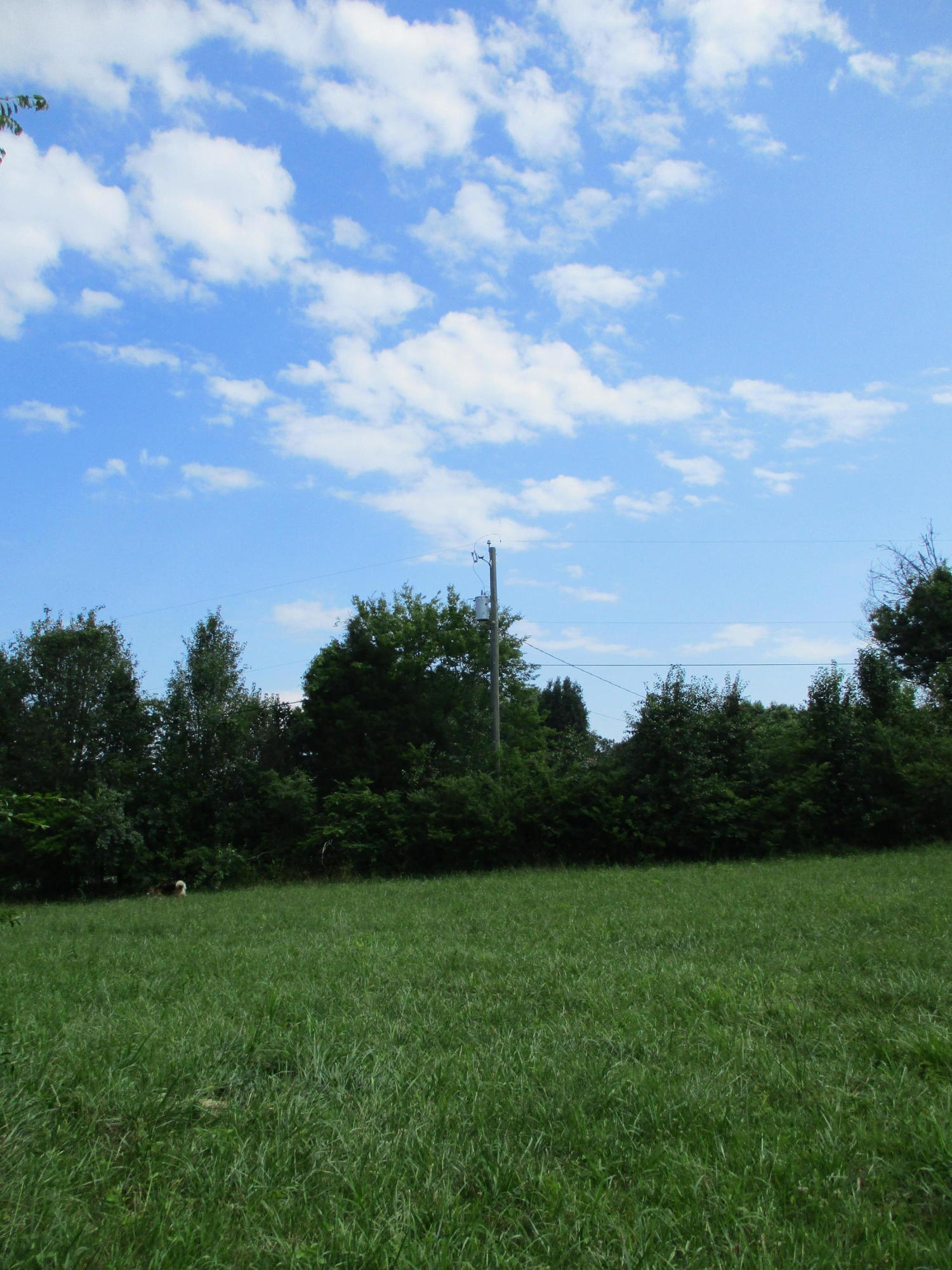 0 Ruth Road Dayton, TN 37321 - Photo 12 of 20 IMG_0286
