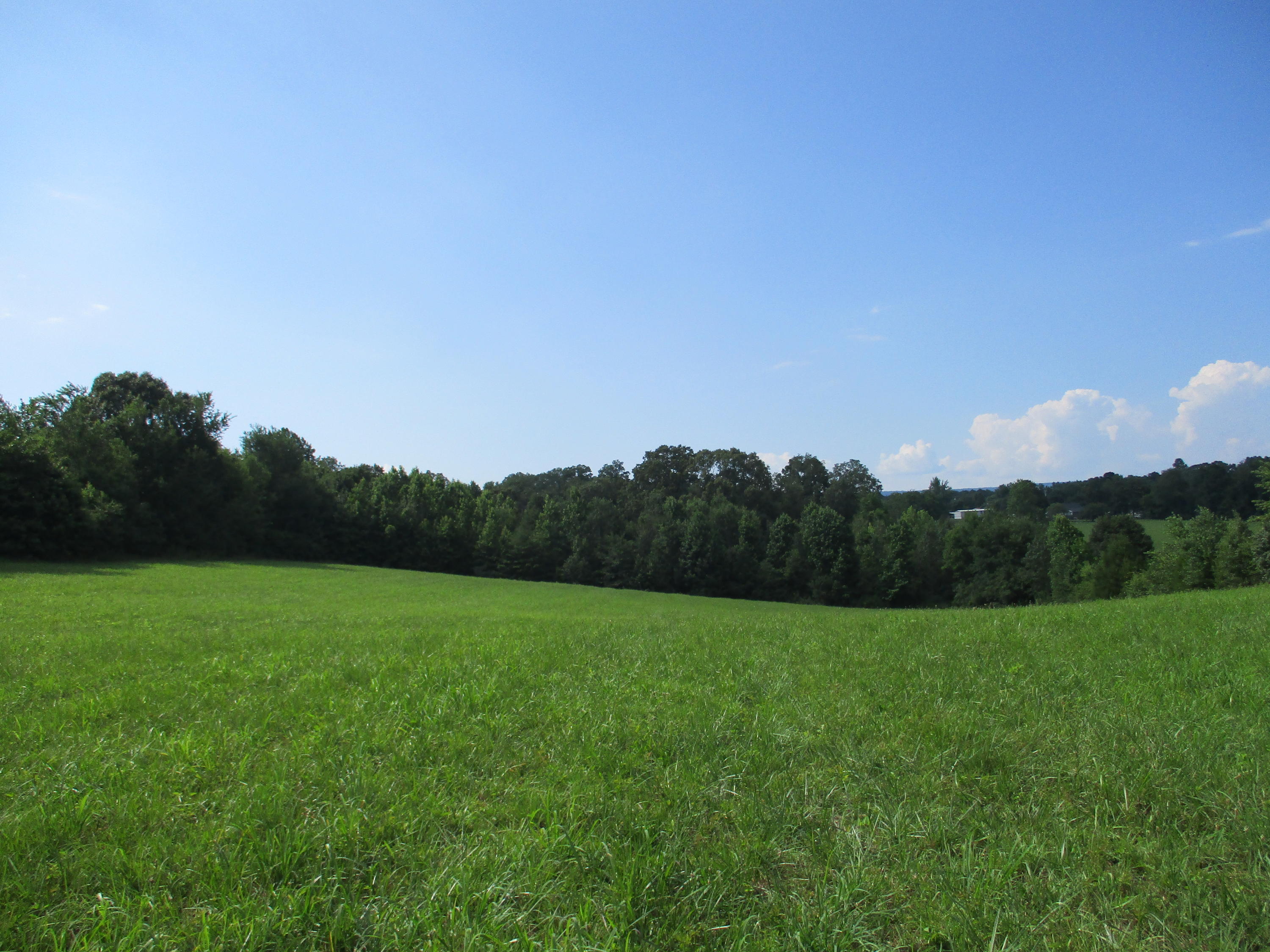 0 Ruth Road Dayton, TN 37321 - Photo 13 of 20 IMG_0287